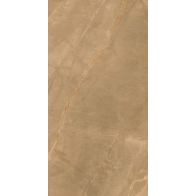 Керамогранит Eco Marble Royalish Brown 120x60