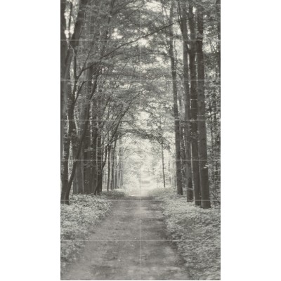 Плитка All in white 2 119,8х209,8