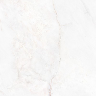 Керамогранит 41431 Dahlia White SP/100X100X0,8/R 100x100