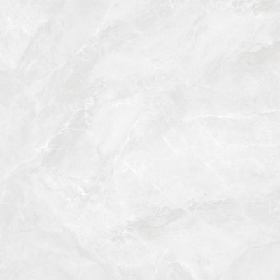 Керамогранит CR6060G0391R Regnum Bianco светло-серый матовый 59,5х59,5