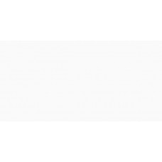 Керамогранит60120DMI00P Domines Super White 60x120