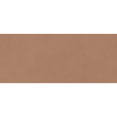 Плитка AYR9 Boost Expression Sienna Matte 50x120
