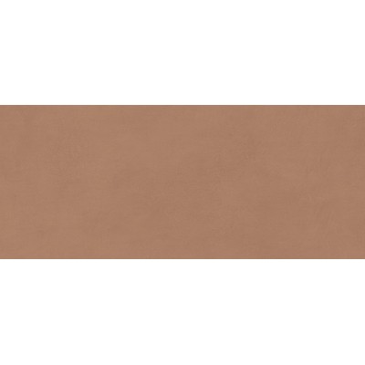 Плитка AYR9 Boost Expression Sienna Matte 50x120