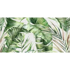 Плитка GT145VG Sombra Серый тропики 50x25