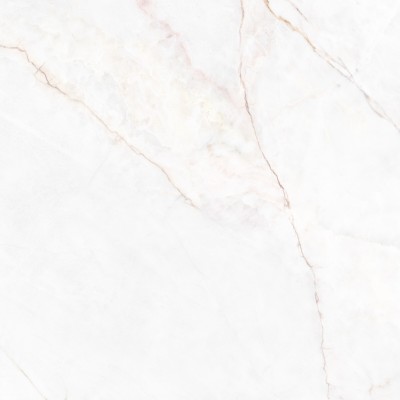 Керамогранит 41431 Dahlia White SP/100X100X0,8/R 100x100