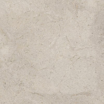 Керамогранит 100348060 Dorcia Acero L 80x80