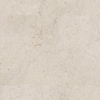 Керамогранит 100348054 Dorcia Bone L 80x80