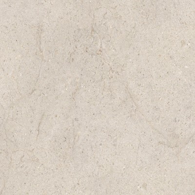 Керамогранит 100348054 Dorcia Bone L 80x80