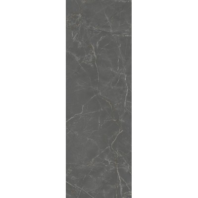 Плитка 13098TR Буонарроти серый темный матовый обрезной 30x89,5x0,9