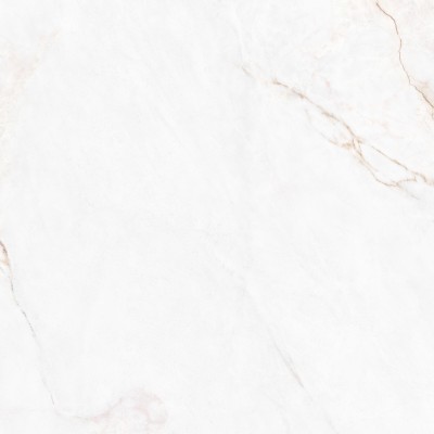 Керамогранит 41431 Dahlia White SP/100X100X0,8/R 100x100