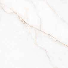 Керамогранит 41431 Dahlia White SP/100X100X0,8/R 100x100