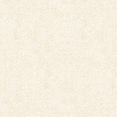 Керамогранит FT4DIL01 Diana Limb 41x41