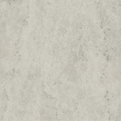 Керамогранит 600010002384 Metropolis Absolut Silver Ret 120x120