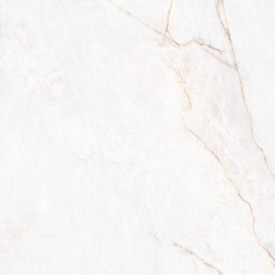 Керамогранит 41431 Dahlia White SP/100X100X0,8/R 100x100