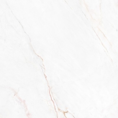 Керамогранит 41431 Dahlia White SP/100X100X0,8/R 100x100