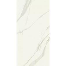 Керамогранит 610010002347 Metropolis Calacatta Gold Nat Rett 60x120