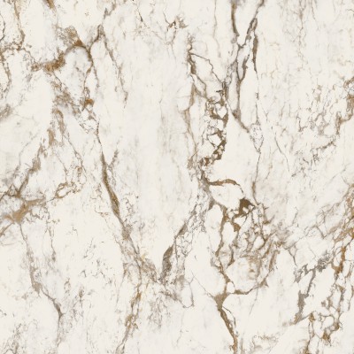 Керамогранит EB1C Breccia Tortona Lappato RT 120x120