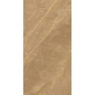 Керамогранит Eco Marble Royalish Brown 120x60