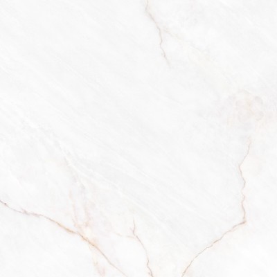 Керамогранит 41431 Dahlia White SP/100X100X0,8/R 100x100