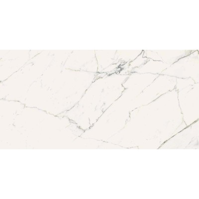 Керамогранит 292A Calacatta Statuarietto Nat RT 60x120