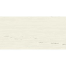 Керамогранит A21C Marvel Bianco Dolomite 60x120