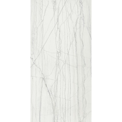 Керамогранит 610010002159 Шарм Эдванс Платинум Уайт Рет 80x160