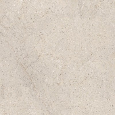 Керамогранит 100348054 Dorcia Bone L 80x80