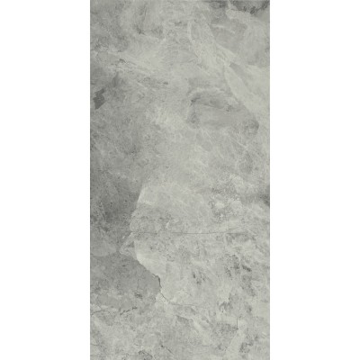 Керамогранит 610010001196 Charme Extra Silver Nat Ret 60x120