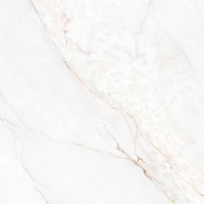 Керамогранит 41431 Dahlia White SP/100X100X0,8/R 100x100