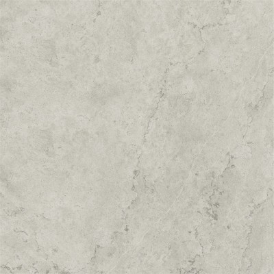 Керамогранит 600010002384 Metropolis Absolut Silver Ret 120x120