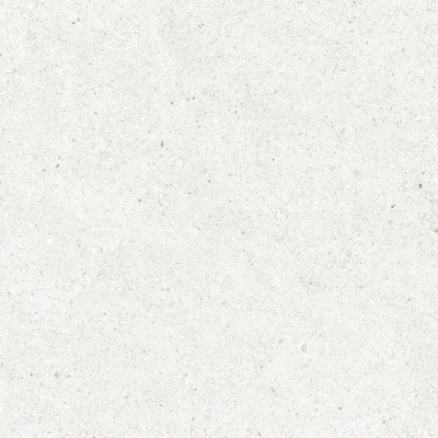 Керамогранит CR6012G0481R Perla Bianco светло-серый матовый 59,5х119,1