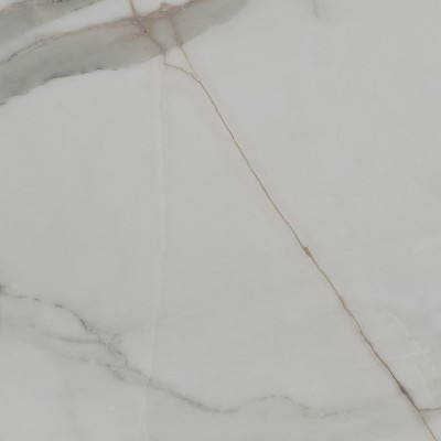 Керамогранит NG100 Торозо glossy 600x600x9