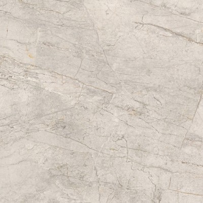 Керамогранит 100355035 Colorado Silver L 120x120