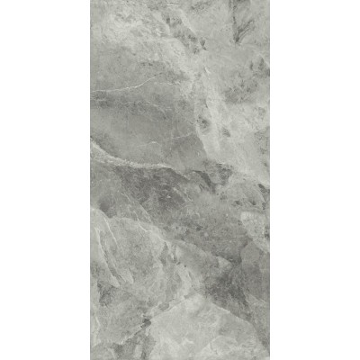 Керамогранит 610010001689 Charme Extra Silver Nat Ret 80x160