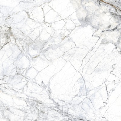 Керамогранит 27511 Supreme White SP/R 100x100