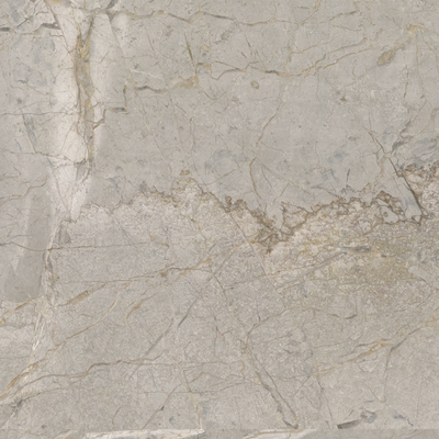 Керамогранит SKA2 Silver Grey Silk RT 120x120