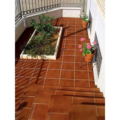 Клинкерная плитка Loseta R1 ROD Бордюр/Подступенник 020AL31 15x31