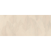 Плитка A6SH Aplomb Cream Leaf Lux 50x120