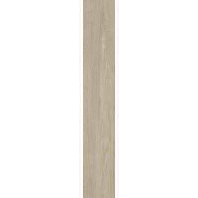 Керамогранит K947908R0001VTEB Греж Матовый R10A Ректификат 20x120