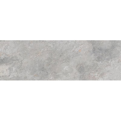 Плитка 100295171 Image Silver 33.3x100