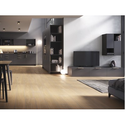 Керамогранит O-GWN-GGO104 Grandwood Natural песочный 19.8x119.8