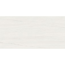 Плитка 9MSB Marvel Bianco Dolomite 40x80