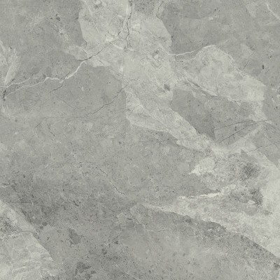 Керамогранит 610010001190 Charme Extra Silver Nat Ret 60x60