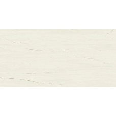 Керамогранит A21K Marvel Bianco Dolomite Lappato 60x120