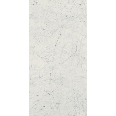 Керамогранит 610010001194 Charme Extra Carrara Nat Ret 60x120