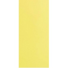 Плитка Палитра желтый 20,1x50,5