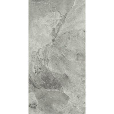 Керамогранит 610010001689 Charme Extra Silver Nat Ret 80x160