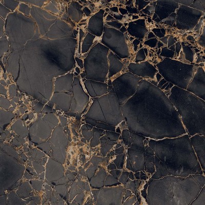 Керамогранит GR101 Golden Black High glossy 600x600
