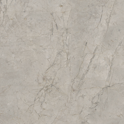 Керамогранит SKA2 Silver Grey Silk RT 120x120