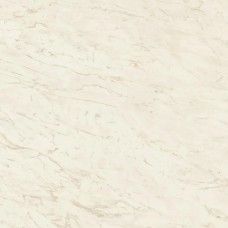 Керамогранит A206 Marvel Cremo Delicato 120x120